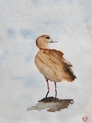 Victoria Sutherland Bird