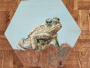 Victoria Sutherland Frog