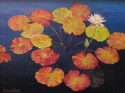 Lily Pads  17"x13.5" (framed)