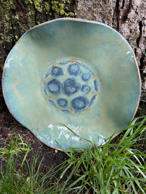 Tortoise Shell Bowl