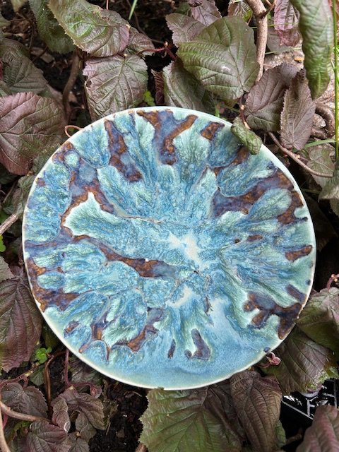 Tortoise Shell Plate
