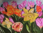 Pink Tulips (1)